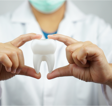 A dentist holding a replica of a tooth.